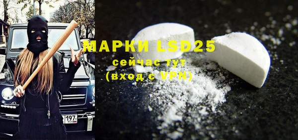 прущие грибы Абаза