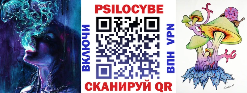 Псилоцибиновые грибы Psilocybe  Краснокамск 