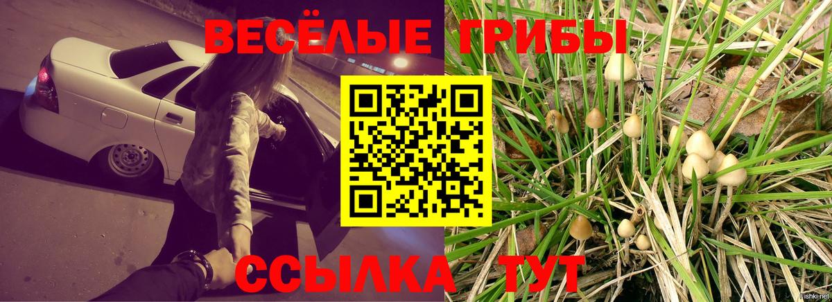 Галлюциногенные грибы GOLDEN TEACHER Краснокамск