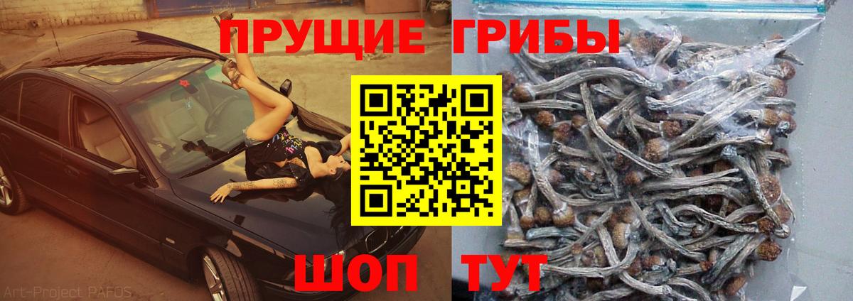 Галлюциногенные грибы ЛСД  Вход с VPN  Краснокамск 